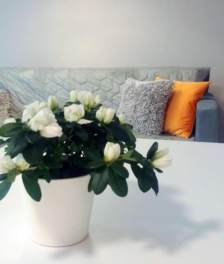 Bel Mare Wyspa, Apartament Z Parkingiem Gratis Miedzyzdroje Kültér fotó